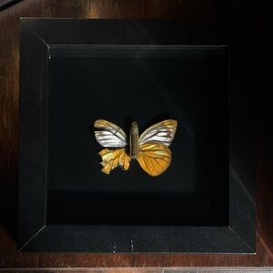 Bullet With Butterfly Wings